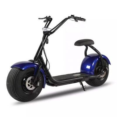 Moto Eléctrica Scooter Chopera potencia 1000w autonomía 35km