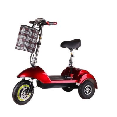 Triciclo Eléctrico Con Canasto Autonomía 25km